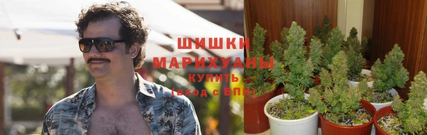 МДПВ Остров