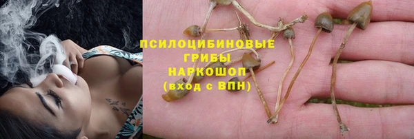 экстази Осинники