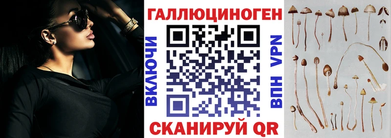 где можно купить наркотик  блэк спрут как войти  Галлюциногенные грибы Psilocybe  Красный Сулин 