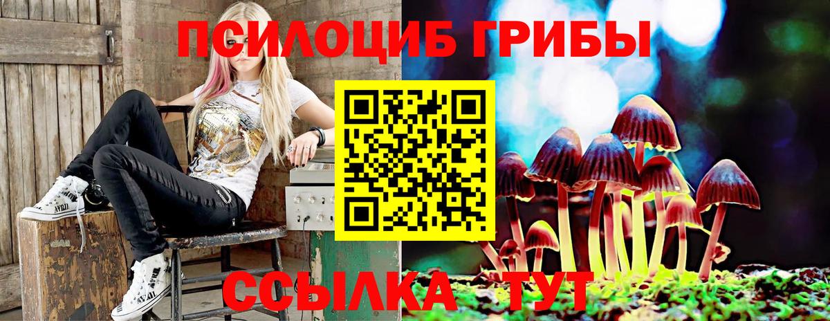 Псилоцибиновые грибы GOLDEN TEACHER  Псилоцибиновые грибы мухоморы  Красный Сулин  Вход с VPN 
