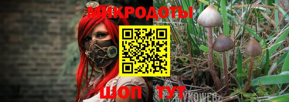 Псилоцибиновые грибы Psilocybine cubensis Красный Сулин